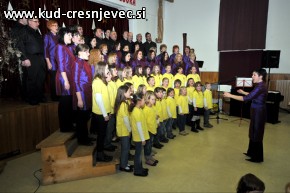 10 12 18 pevski cresnjevec 075 10 12 18 pevski cresnjevec 075